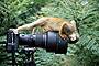 plein air painter's Photo