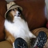 dosgringos's Photo